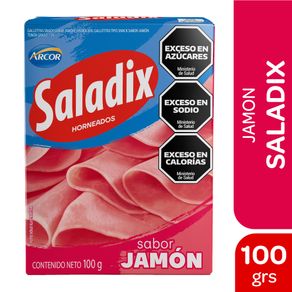 Saladix Jamón 100gr.